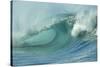 Shorebreak Waves in Waimea Bay-Rick Doyle-Stretched Canvas