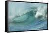 Shorebreak Waves in Waimea Bay-Rick Doyle-Framed Stretched Canvas