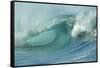 Shorebreak Waves in Waimea Bay-Rick Doyle-Framed Stretched Canvas