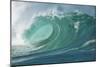 Shorebreak Waves in Waimea Bay-Rick Doyle-Mounted Photographic Print