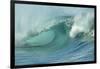 Shorebreak Waves in Waimea Bay-Rick Doyle-Framed Photographic Print