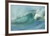 Shorebreak Waves in Waimea Bay-Rick Doyle-Framed Photographic Print