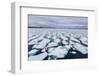 Shorefast Ice Starting to Melt in Maxwell Bay, Devon Island, Nunavut, Canada, North America-Michael-Framed Photographic Print