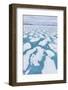 Shorefast Ice Starting to Melt in Maxwell Bay, Devon Island, Nunavut, Canada-Michael-Framed Photographic Print