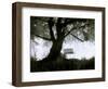 Shoregang-Craig Satterlee-Framed Premium Photographic Print