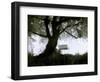 Shoregang-Craig Satterlee-Framed Premium Photographic Print