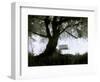 Shoregang-Craig Satterlee-Framed Premium Photographic Print