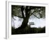 Shoregang-Craig Satterlee-Framed Photographic Print