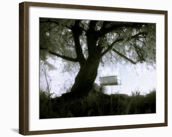 Shoregang-Craig Satterlee-Framed Photographic Print