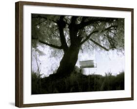 Shoregang-Craig Satterlee-Framed Photographic Print