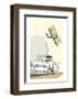 Shoreham Airport Blank - Dave Thompson Contemporary Travel Print-Dave Thompson-Framed Giclee Print