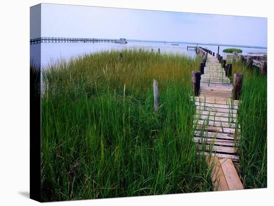 Shoreline and Dock, Chincoteague Island-Mark Gibson-Stretched Canvas