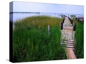 Shoreline and Dock, Chincoteague Island-Mark Gibson-Stretched Canvas