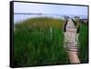 Shoreline and Dock, Chincoteague Island-Mark Gibson-Framed Stretched Canvas