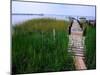 Shoreline and Dock, Chincoteague Island-Mark Gibson-Mounted Photographic Print