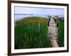 Shoreline and Dock, Chincoteague Island-Mark Gibson-Framed Photographic Print