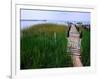 Shoreline and Dock, Chincoteague Island-Mark Gibson-Framed Photographic Print