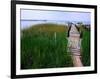 Shoreline and Dock, Chincoteague Island-Mark Gibson-Framed Photographic Print