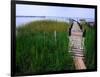 Shoreline and Dock, Chincoteague Island-Mark Gibson-Framed Photographic Print