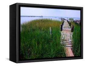 Shoreline and Dock, Chincoteague Island-Mark Gibson-Framed Stretched Canvas