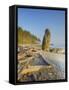 Shoreline and Seastacks, Ruby Beach, Olympic National Park, Washington, USA-Jamie & Judy Wild-Framed Stretched Canvas