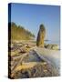 Shoreline and Seastacks, Ruby Beach, Olympic National Park, Washington, USA-Jamie & Judy Wild-Stretched Canvas