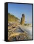 Shoreline and Seastacks, Ruby Beach, Olympic National Park, Washington, USA-Jamie & Judy Wild-Framed Stretched Canvas