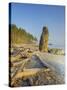 Shoreline and Seastacks, Ruby Beach, Olympic National Park, Washington, USA-Jamie & Judy Wild-Stretched Canvas