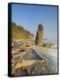 Shoreline and Seastacks, Ruby Beach, Olympic National Park, Washington, USA-Jamie & Judy Wild-Framed Stretched Canvas