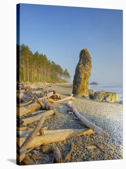 Shoreline and Seastacks, Ruby Beach, Olympic National Park, Washington, USA-Jamie & Judy Wild-Stretched Canvas