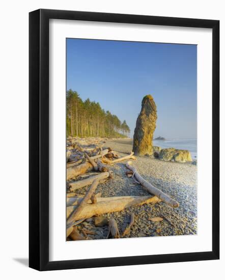 Shoreline and Seastacks, Ruby Beach, Olympic National Park, Washington, USA-Jamie & Judy Wild-Framed Photographic Print