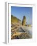 Shoreline and Seastacks, Ruby Beach, Olympic National Park, Washington, USA-Jamie & Judy Wild-Framed Photographic Print