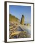 Shoreline and Seastacks, Ruby Beach, Olympic National Park, Washington, USA-Jamie & Judy Wild-Framed Photographic Print