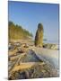 Shoreline and Seastacks, Ruby Beach, Olympic National Park, Washington, USA-Jamie & Judy Wild-Mounted Photographic Print