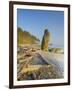 Shoreline and Seastacks, Ruby Beach, Olympic National Park, Washington, USA-Jamie & Judy Wild-Framed Photographic Print