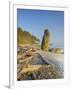 Shoreline and Seastacks, Ruby Beach, Olympic National Park, Washington, USA-Jamie & Judy Wild-Framed Photographic Print