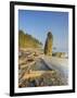 Shoreline and Seastacks, Ruby Beach, Olympic National Park, Washington, USA-Jamie & Judy Wild-Framed Photographic Print