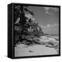 Shoreline at Bikini Atoll on Day of Atomic Bomb Test-Bob Landry-Framed Stretched Canvas