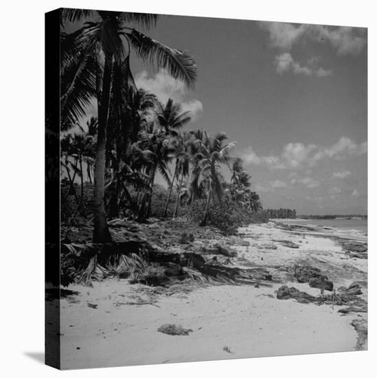 Shoreline at Bikini Atoll on Day of Atomic Bomb Test-Bob Landry-Stretched Canvas