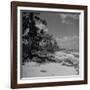 Shoreline at Bikini Atoll on Day of Atomic Bomb Test-Bob Landry-Framed Photographic Print