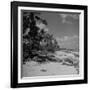 Shoreline at Bikini Atoll on Day of Atomic Bomb Test-Bob Landry-Framed Photographic Print