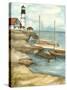 Shoreline Dock I-Jennifer Goldberger-Stretched Canvas