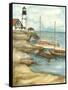 Shoreline Dock I-Jennifer Goldberger-Framed Stretched Canvas