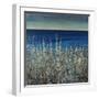 Shoreline Flowers II-Tim O'toole-Framed Giclee Print