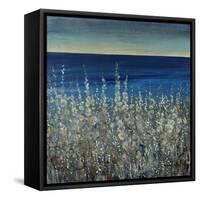 Shoreline Flowers II-Tim O'toole-Framed Stretched Canvas