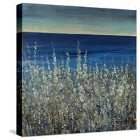 Shoreline Flowers II-Tim O'toole-Stretched Canvas