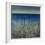 Shoreline Flowers II-Tim O'toole-Framed Giclee Print