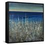 Shoreline Flowers II-Tim O'toole-Framed Stretched Canvas