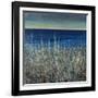 Shoreline Flowers II-Tim O'toole-Framed Giclee Print