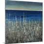 Shoreline Flowers II-Tim O'toole-Mounted Giclee Print